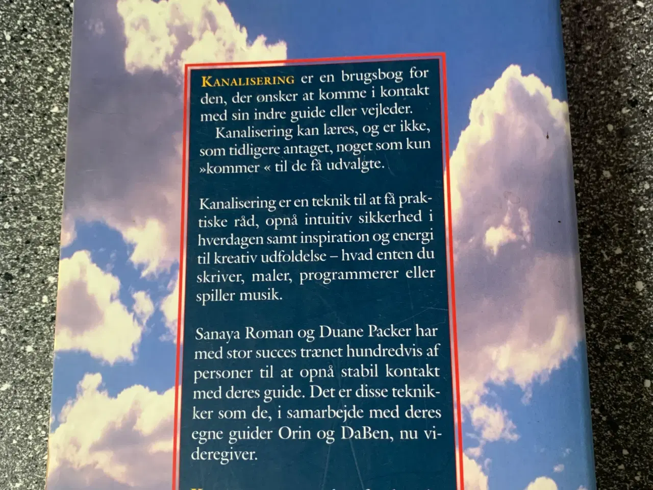 Billede 2 - Bog: Kanalisering