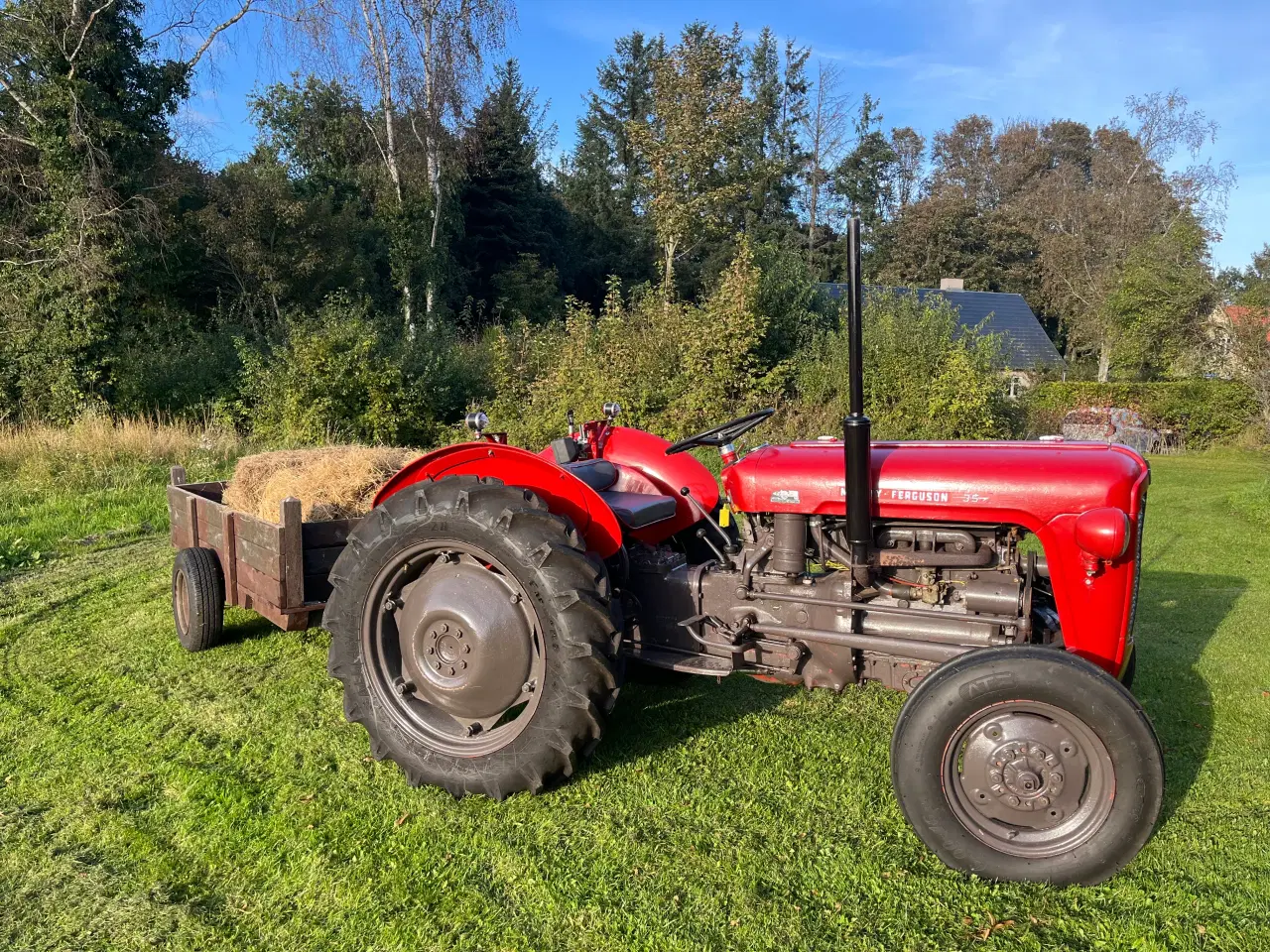 Billede 6 - Massey ferguson 35 benzin