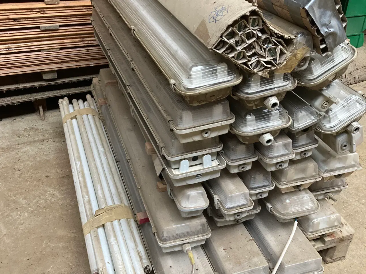 Billede 2 - Lysamatur