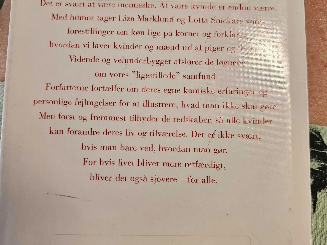 Billede 2 - Der findes et særligt sted i Helvede for kvinder..