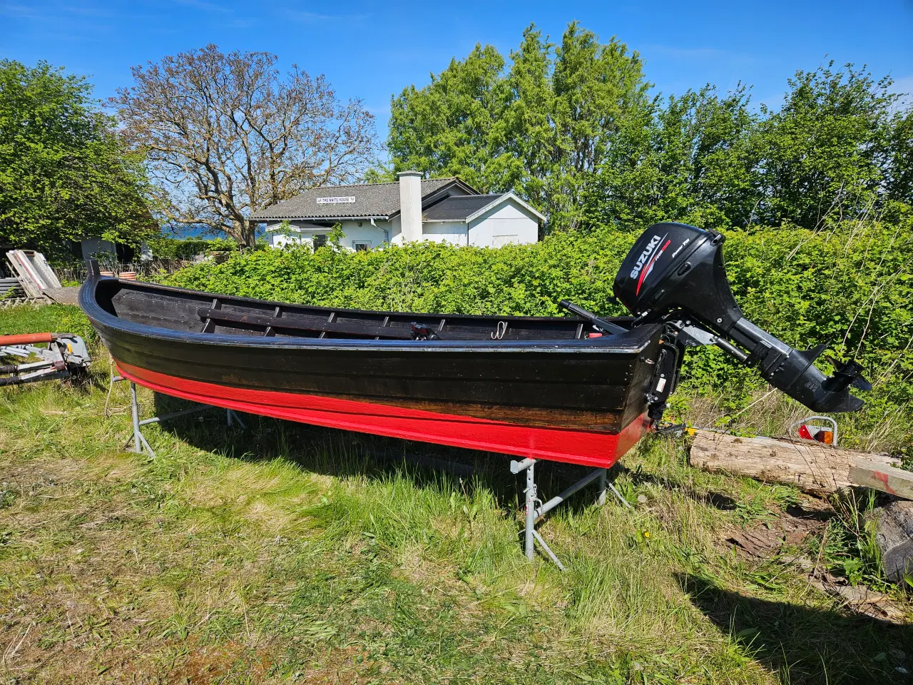 Billede 1 - Fiske bregner parm