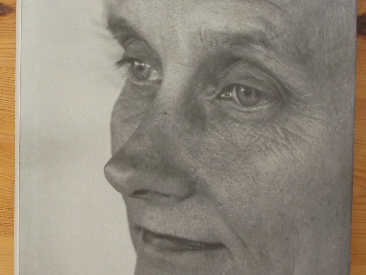 Billede 1 - Denne dag, et liv, en Astrid Lindgren biografi