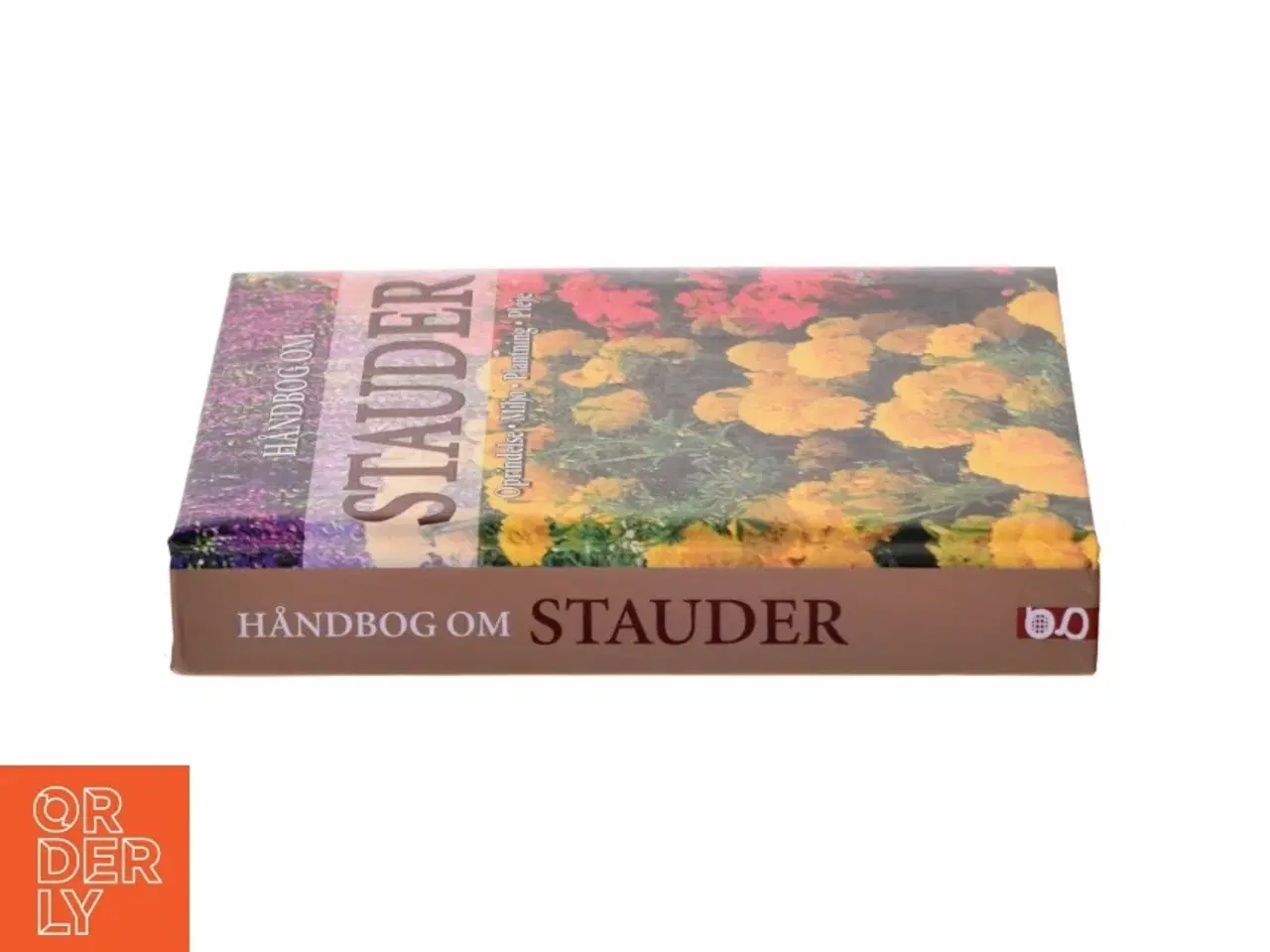 Billede 2 - Håndbog om stauder : oprindelse, voksested, plantning, pleje af Andrea Rausch (Bog)
