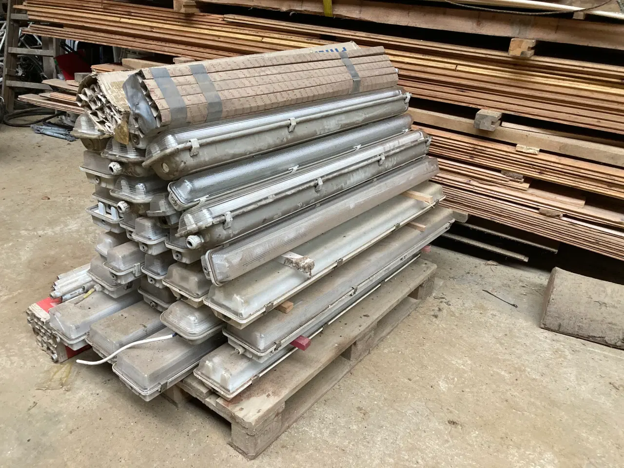 Billede 1 - Lysamatur