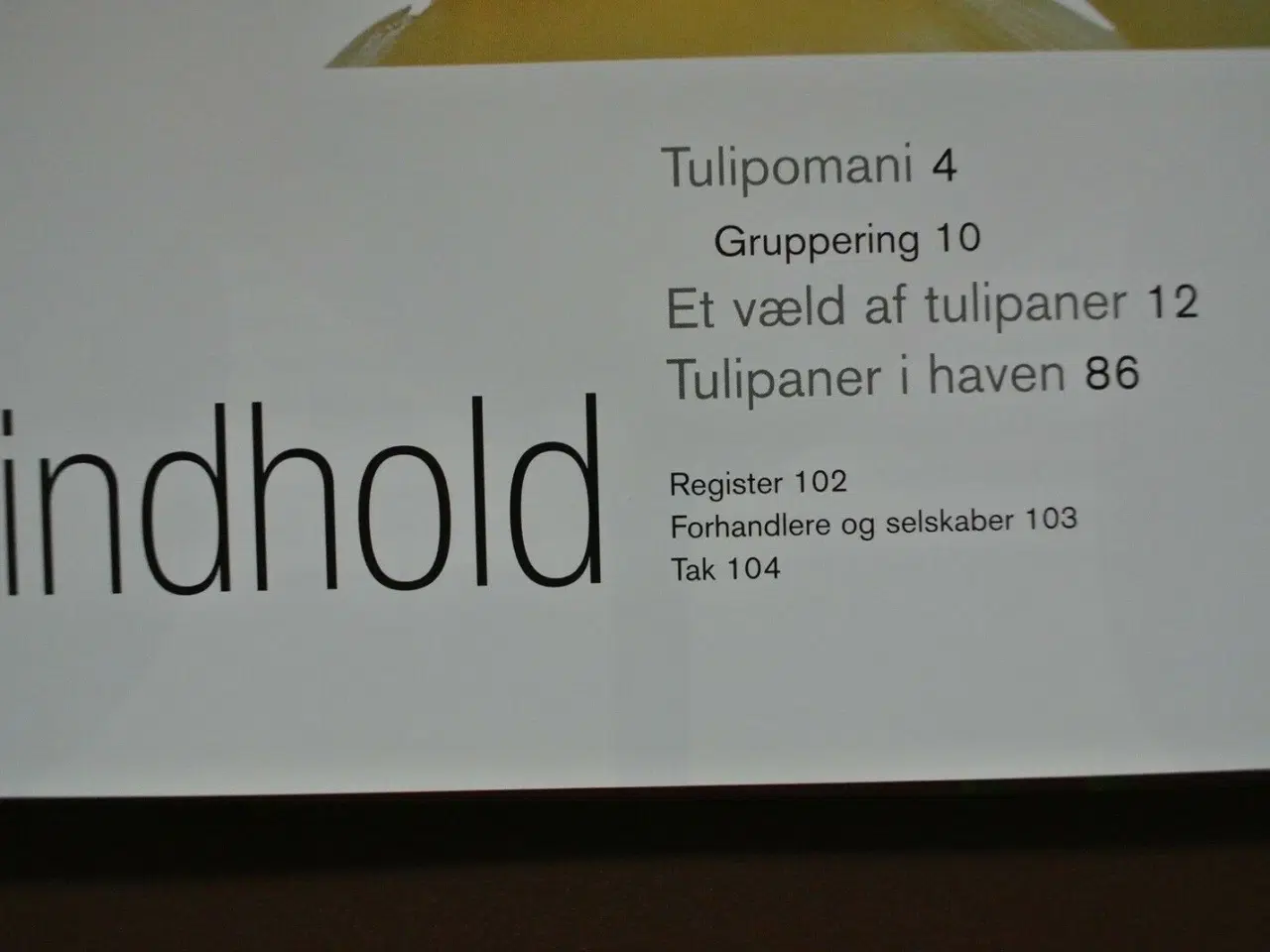 Billede 2 - tulipaner, af liz dobbs, emne: hus og have
