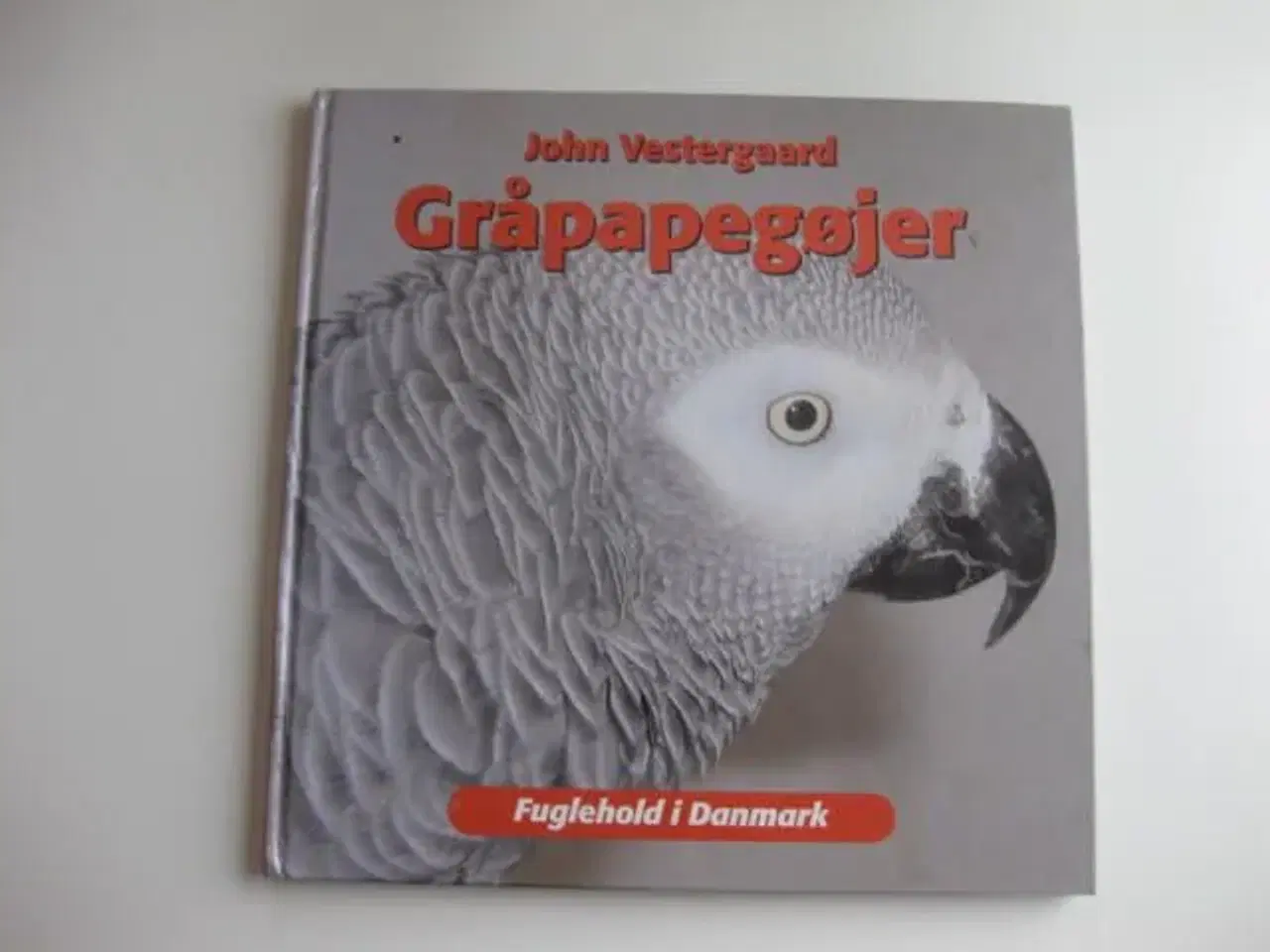 Billede 1 - Gråpapegøjer