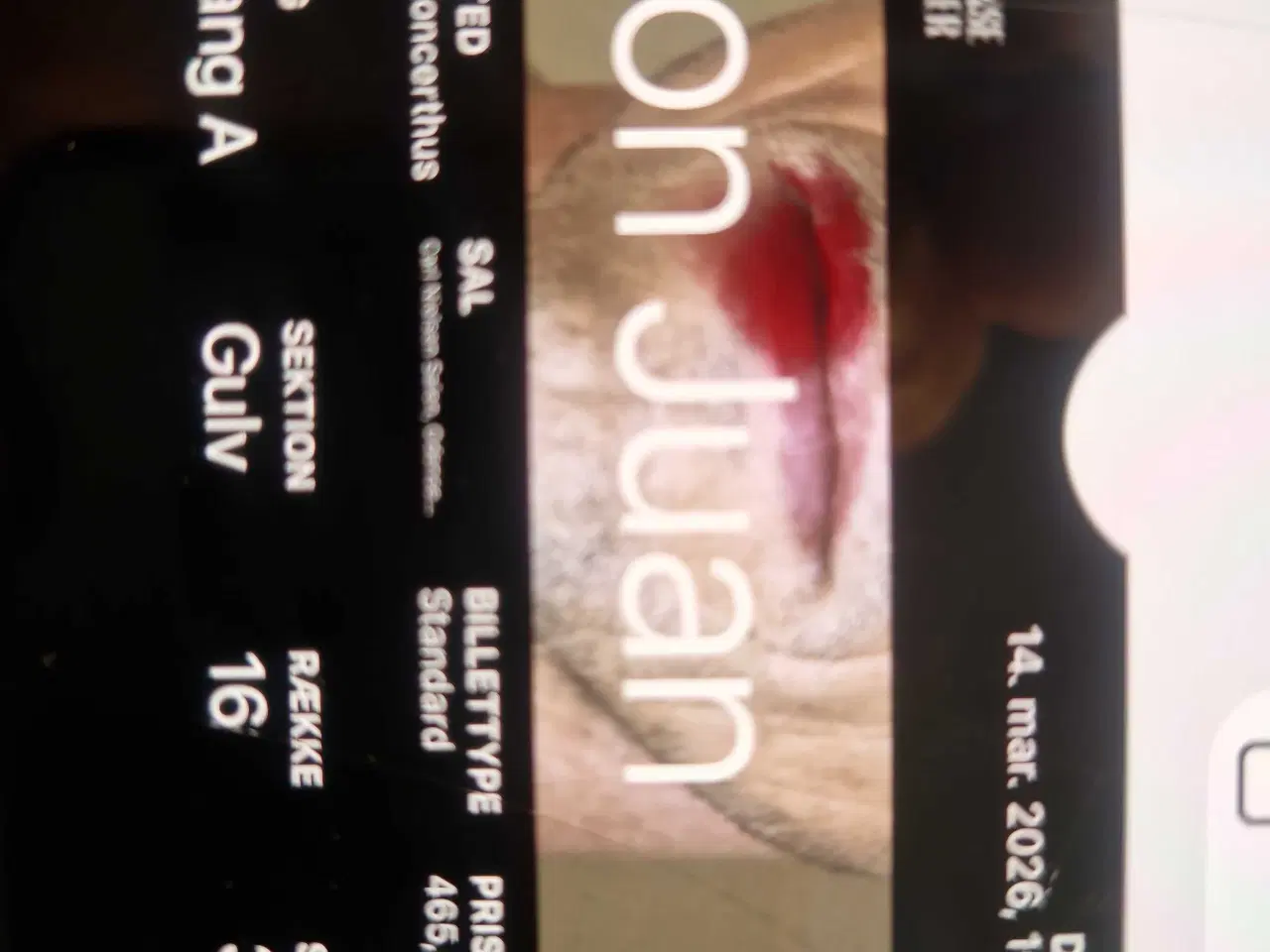 Billede 1 - Don Juan i Odense Koncerthus