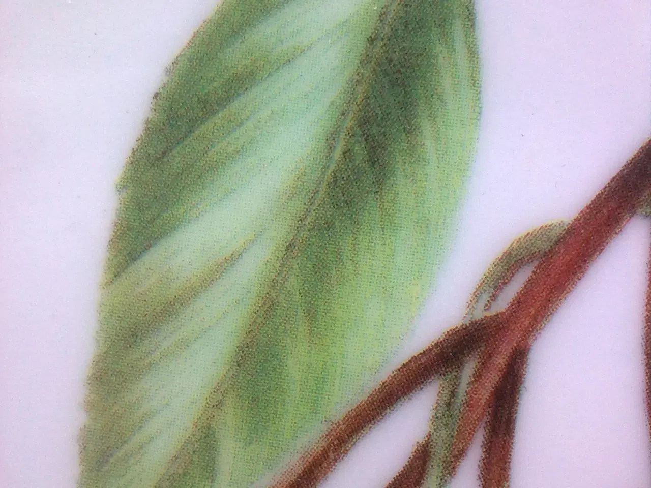 Billede 18 - Frugtknive nordisk RETRO & Royal Copenhagen