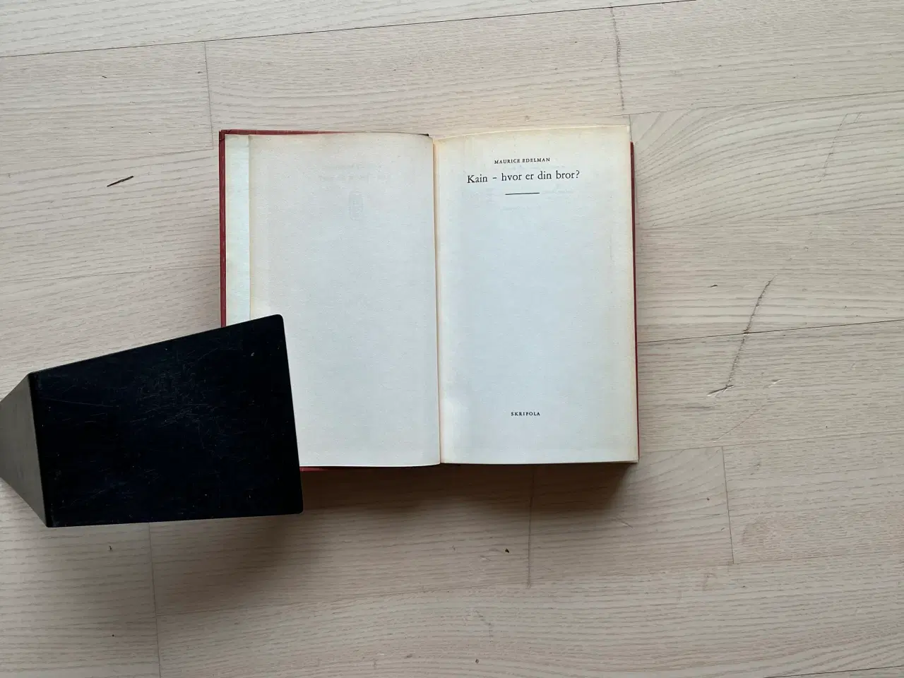 Billede 2 - Kain - hvor er din bror? - af Maurice Edelman