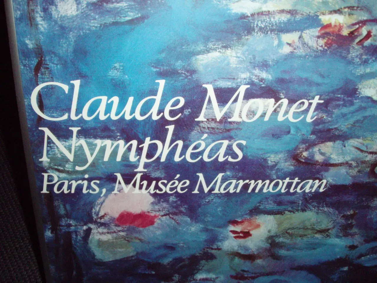 Billede 2 - Claude Monet Åkander.
