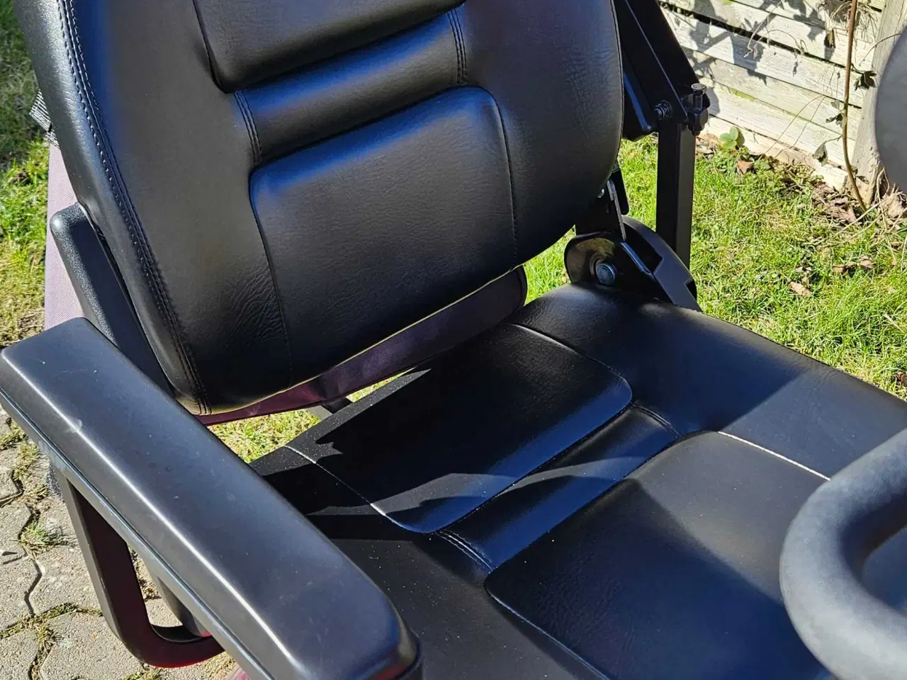 Billede 5 - Pegasus lærken 3