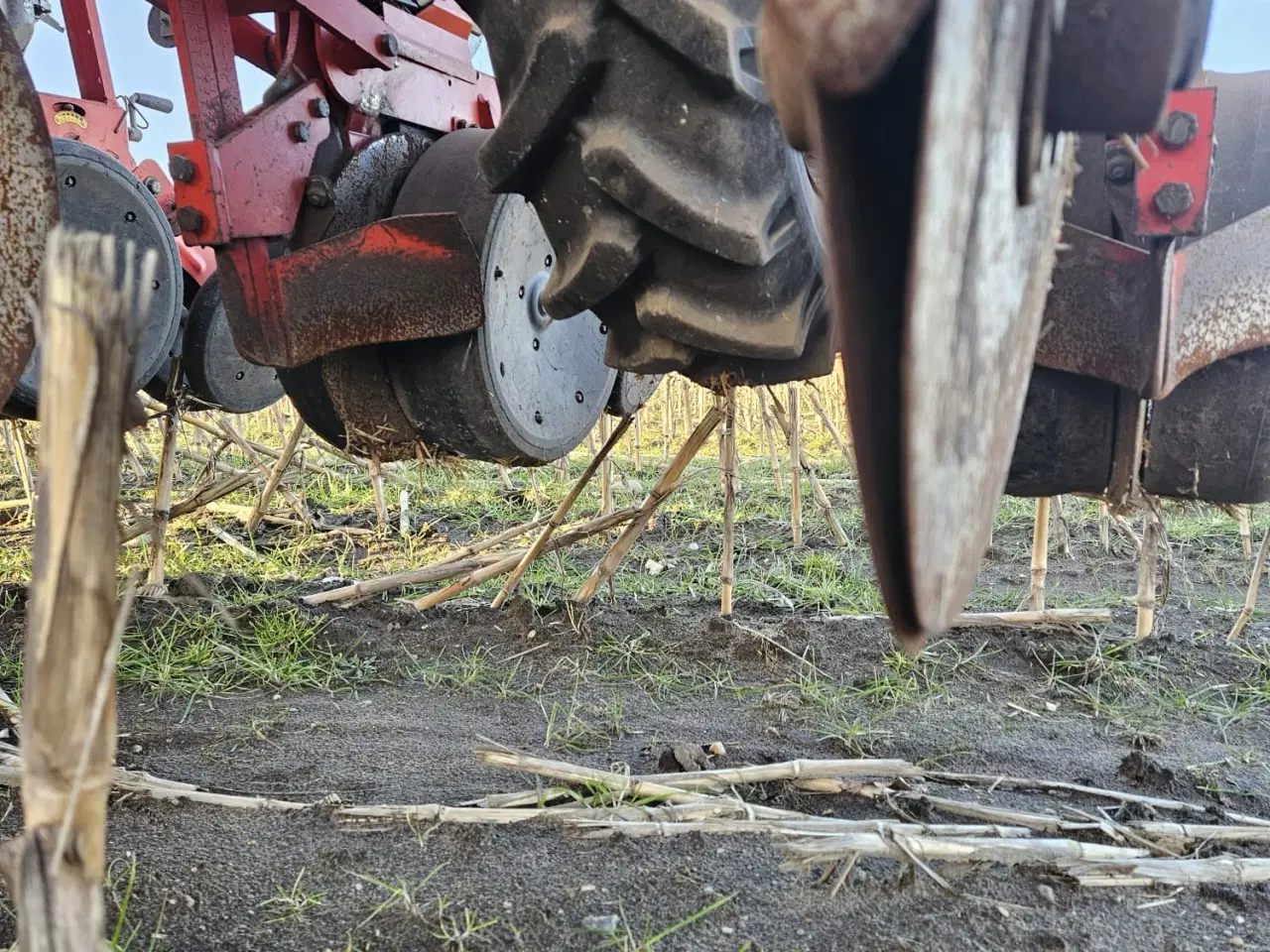 Billede 2 - Majssåmaskine