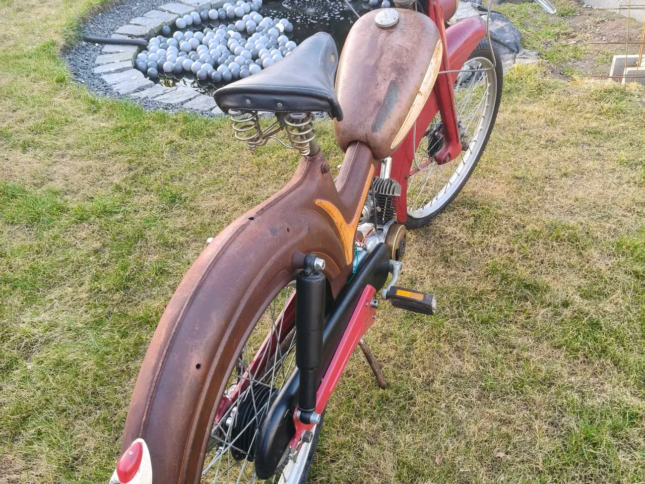 Billede 3 - Skylon alidania