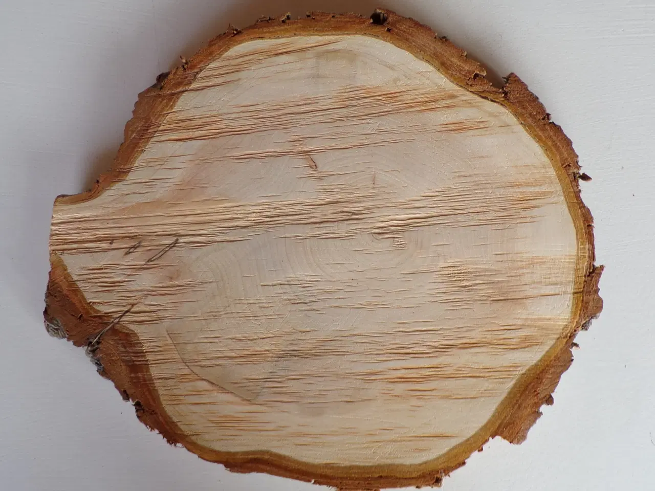 Billede 2 - NY Thuja Træskive med bark 30,5 cm lang