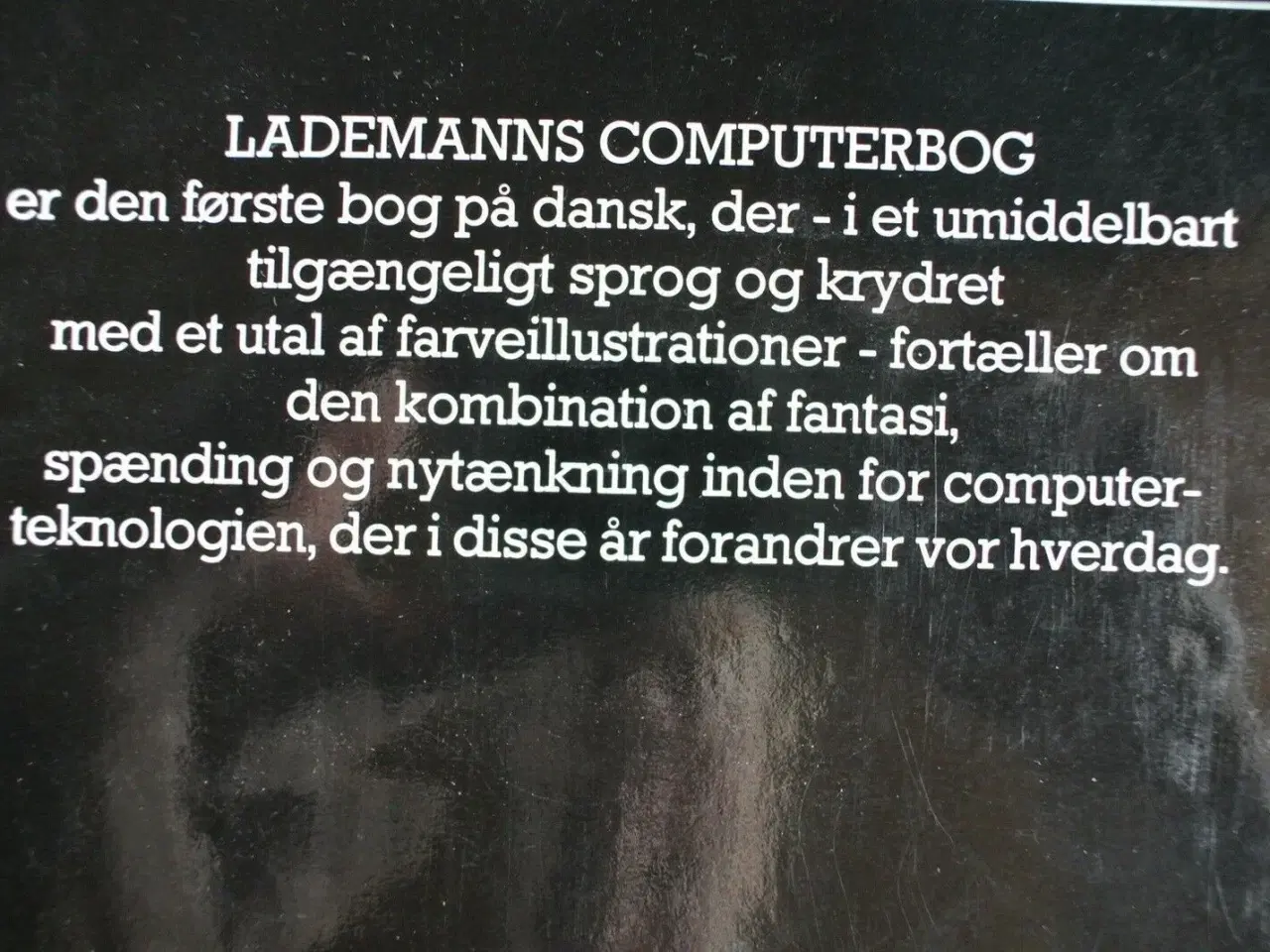 Billede 4 - lademanns computerbog, af peter laurie