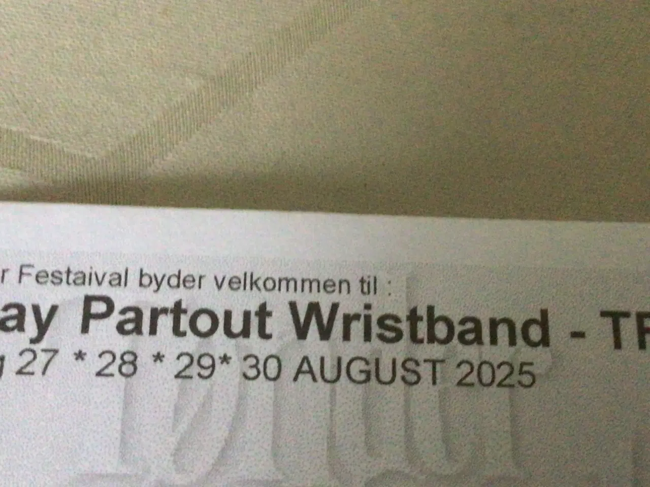 Billede 1 - Tønder festival 2025