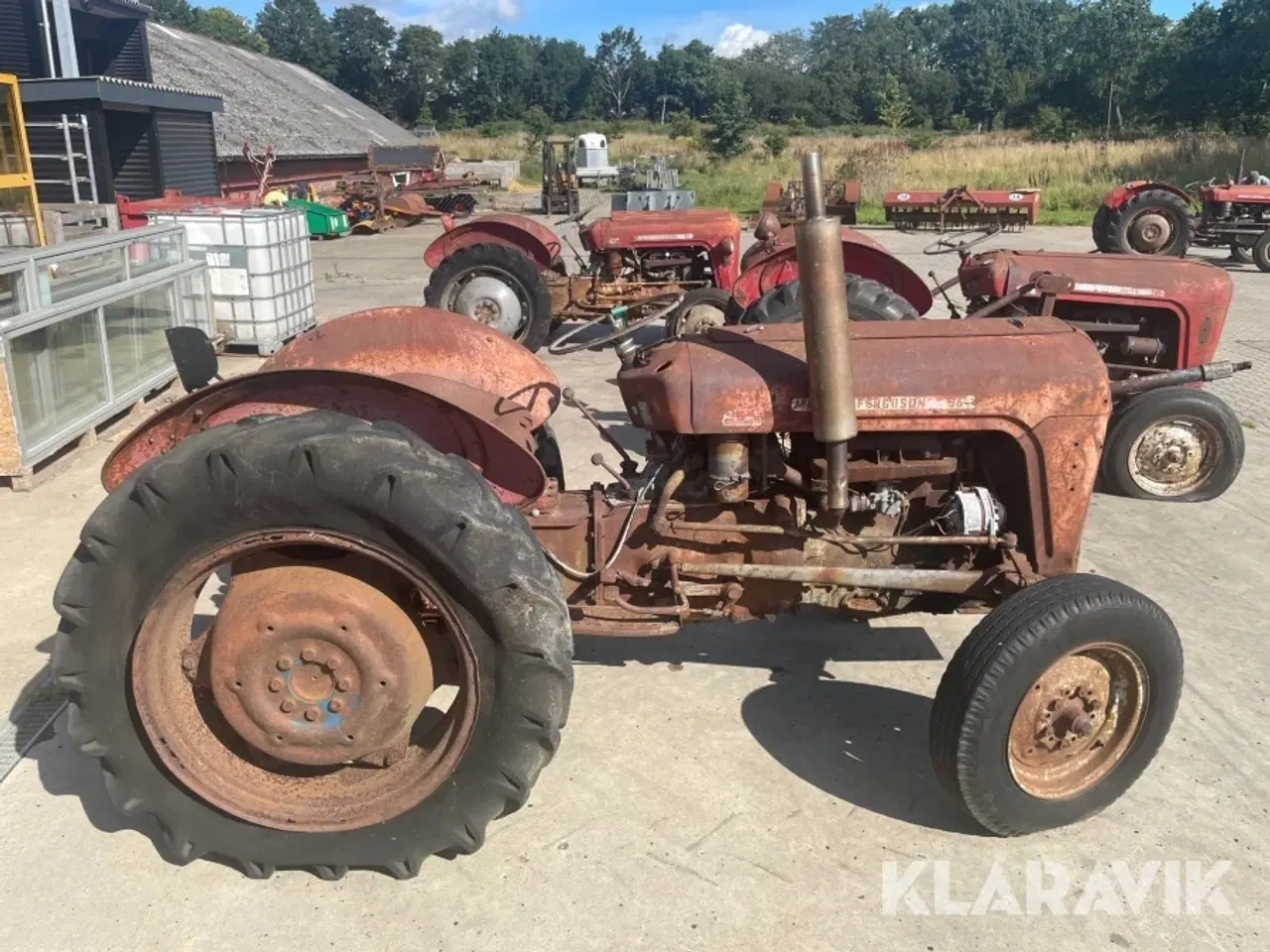 Billede 6 - Veterantraktor Massey-Ferguson 35