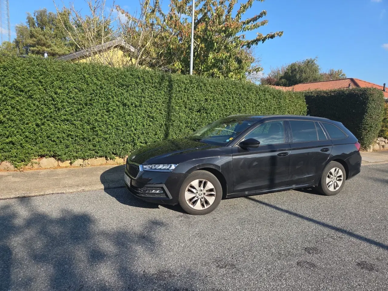 Billede 1 - Skoda Octavia 1,0 TSi 110 Ambition First Edition