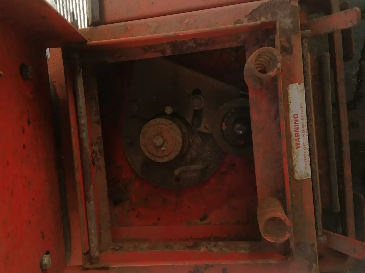 Billede 8 - Westwood Ginge. 