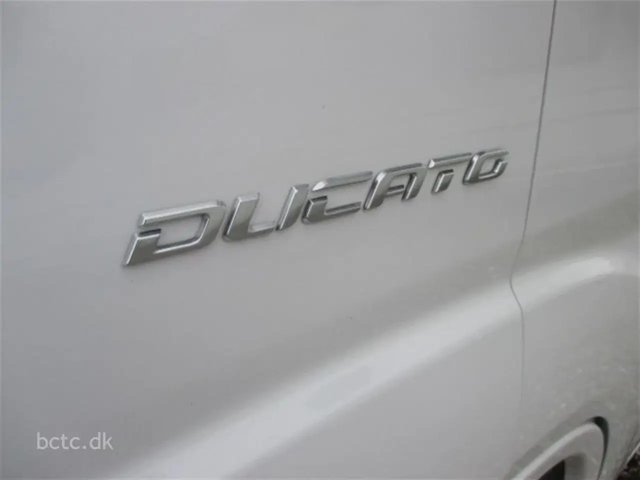 Billede 3 - 2022 - Giottiline Sienna