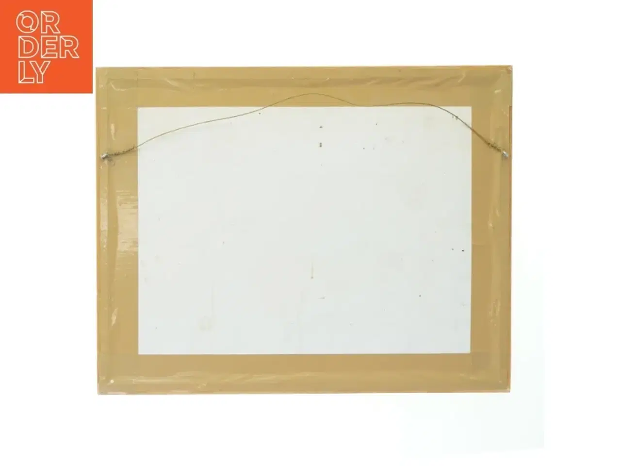 Billede 2 - Vintage billede med illustrationer af kvindens alder (str. 43x34 cm)