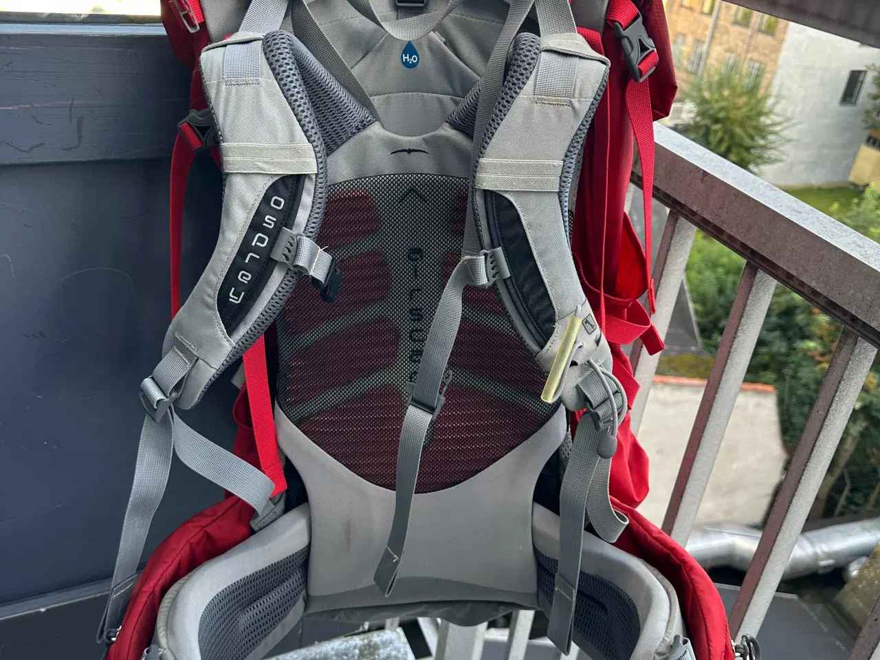 Billede 4 - UDLEJES - Osprey rygsæk 65 L dame