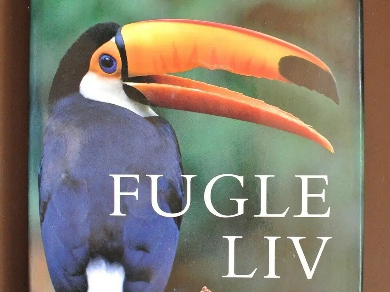 Billede 1 - fugleliv, Af david attenborough, emne: dyr