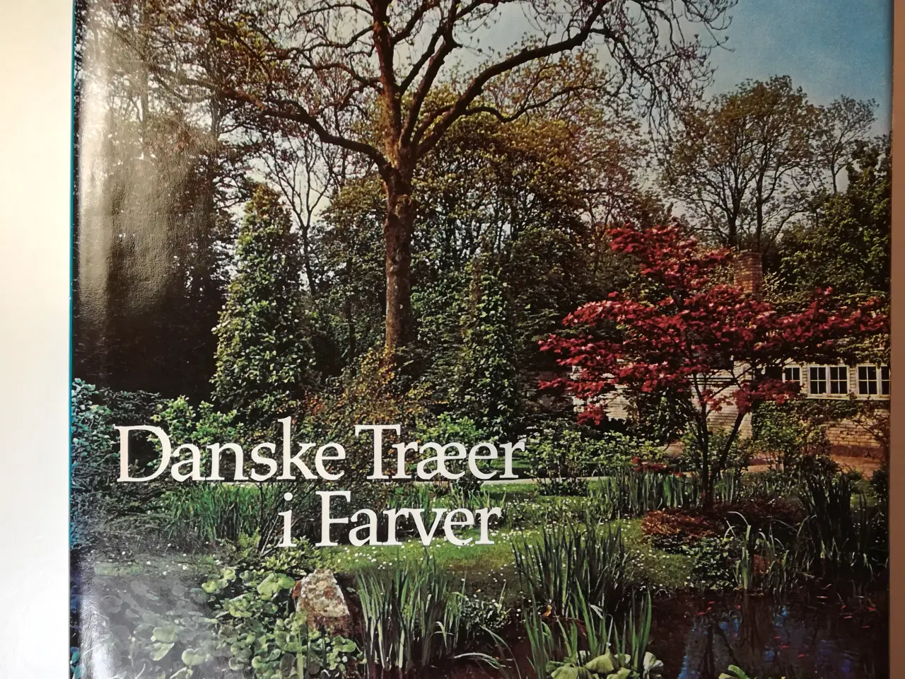 Billede 1 - Danske Træer i Farver