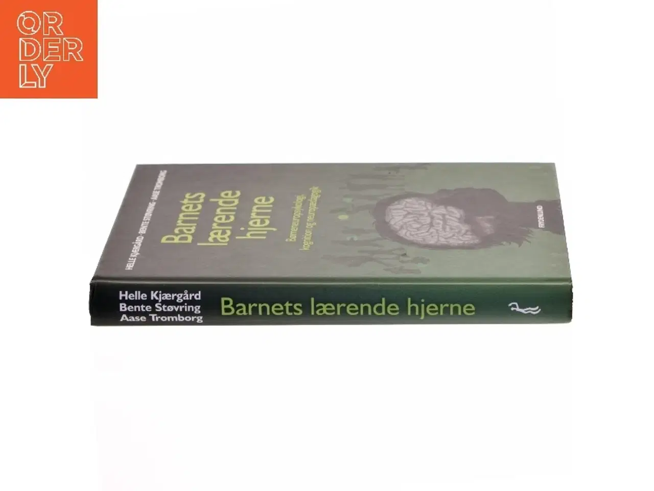 Billede 2 - Barnets lærende hjerne : børneneuropsykologi, kognition og neuropædagogik af Helle Kjærgård (Bog)