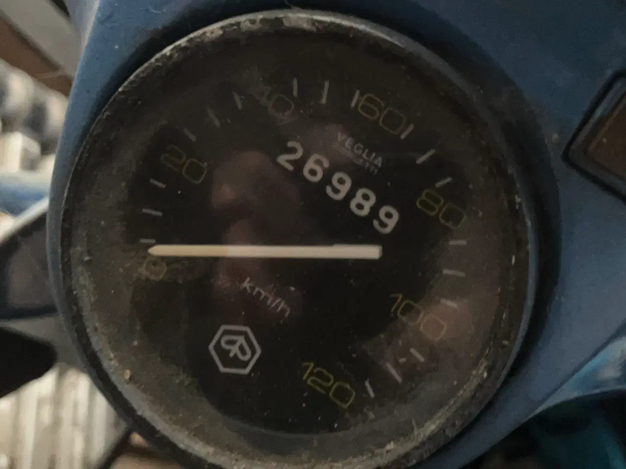 Billede 6 - 43 år og 7 mdr ældre dame sælges,