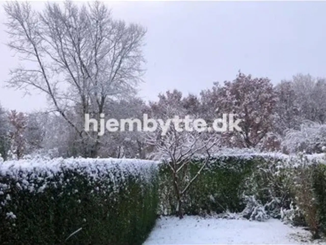 Billede 5 - Hjembytte - Baunehøjparken