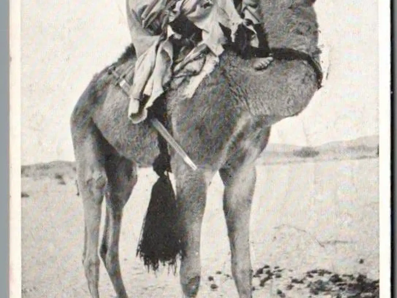 Billede 1 - Den første Tuareg som Sahara Ekspeditionen mødte i Hoggar - Missioner  - Brugt