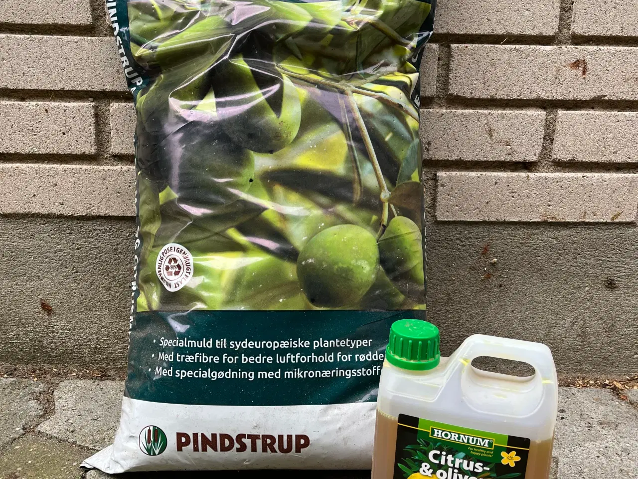 Billede 1 - Jord til citron planter