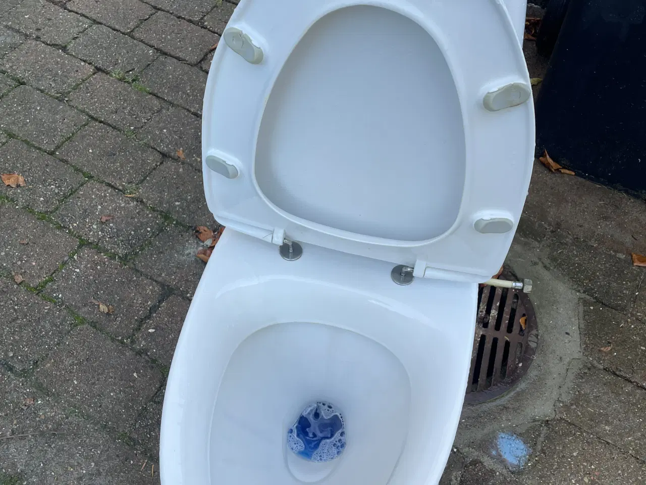 Billede 5 - Ifo toilet