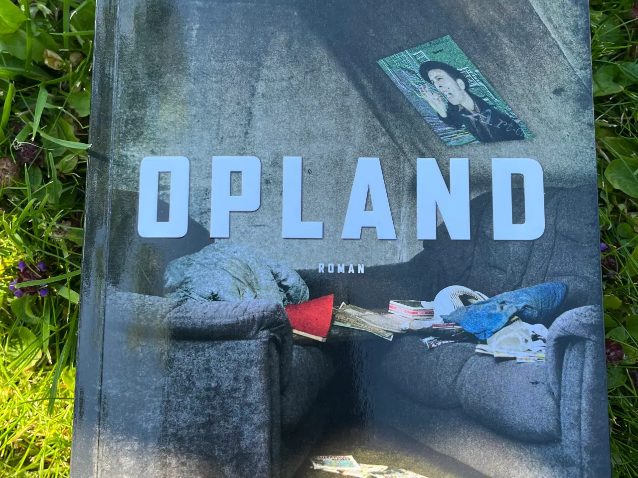 Billede 1 - Opland , af Jens Vilstrup