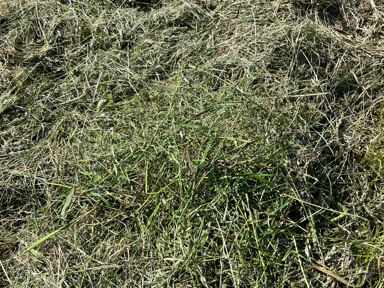 Billede 1 - Wrap til kvæg