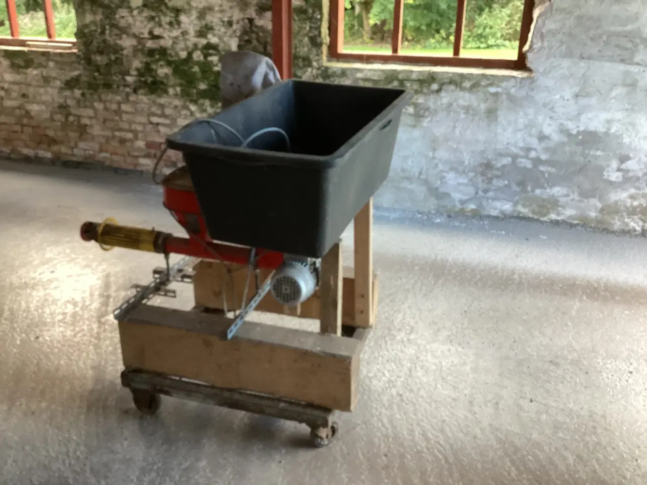 Billede 3 - Hybren Frørenser