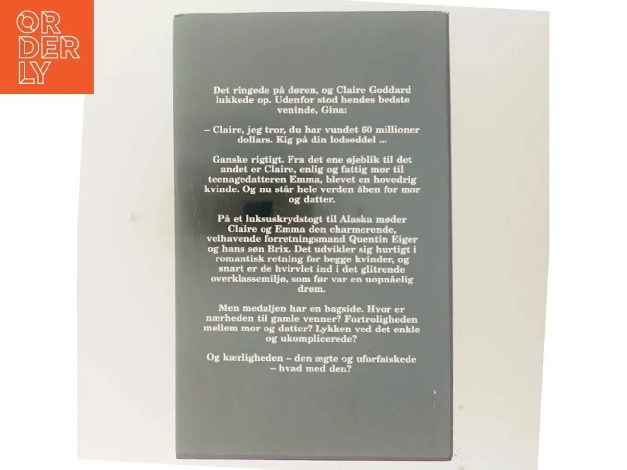 Billede 3 - Den store gevinst af Judith Michael