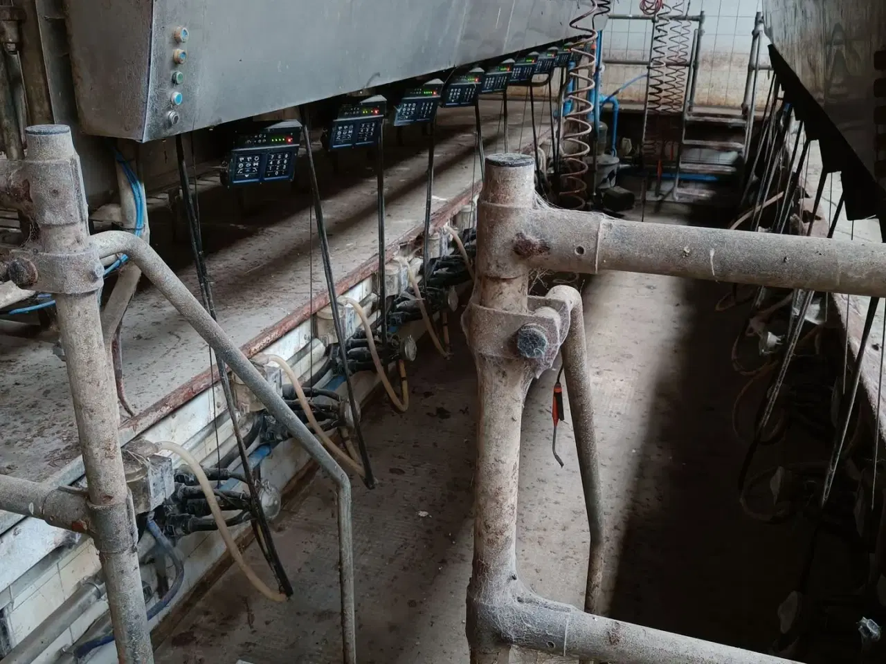 Billede 4 - - - - Malkestalden til 20 stk. med mælkemåler