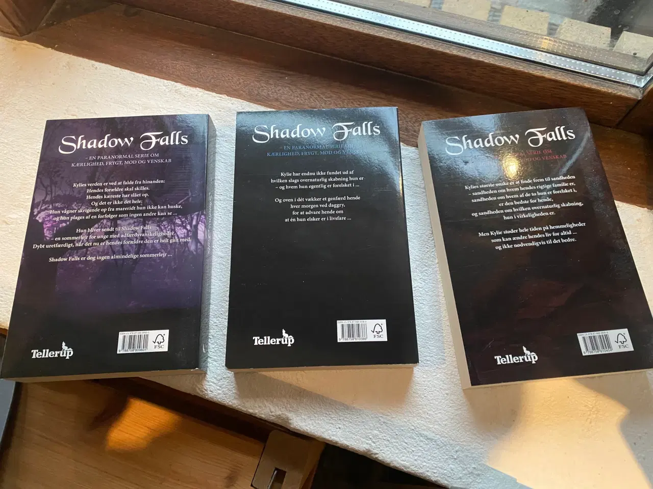 Billede 2 - Shadow falls