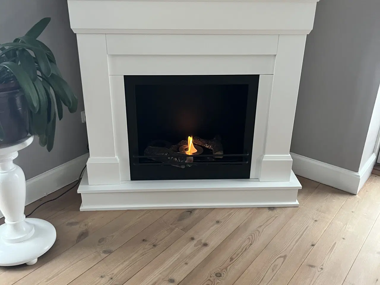 Billede 1 - Biopejs som ny