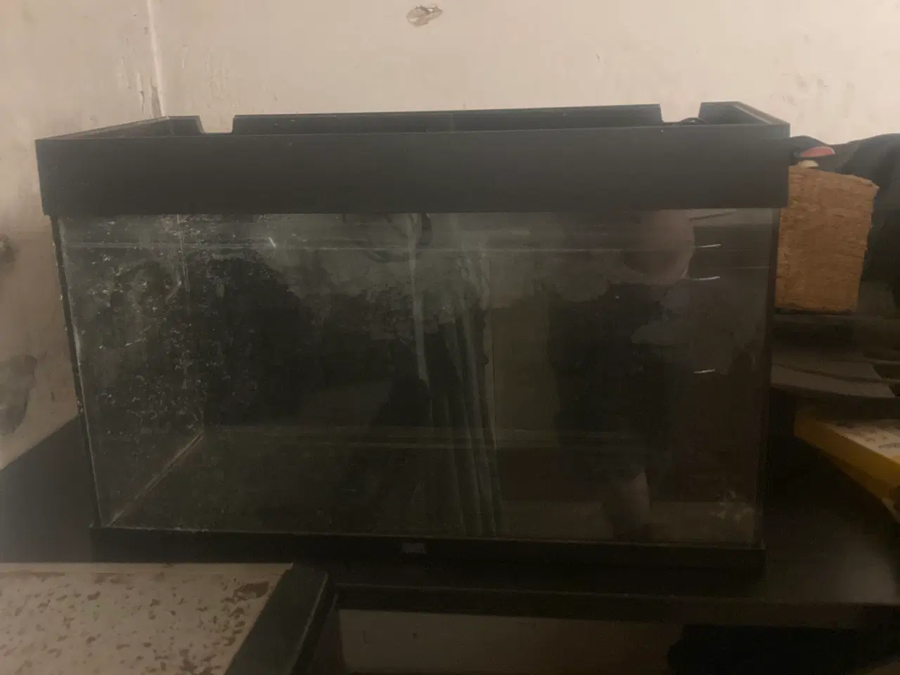 Billede 7 - Akvarium 126 litter juwel