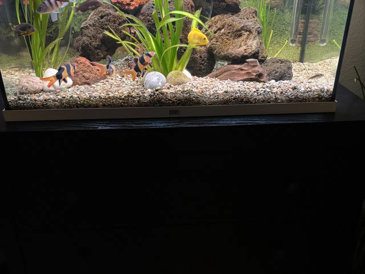 Billede 1 - Akvarie 120l