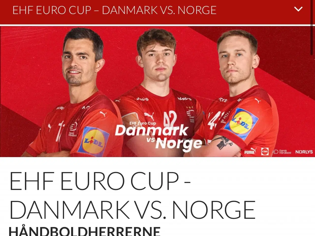 Billede 1 - 2 adgange til Danmark - Norge 6 november