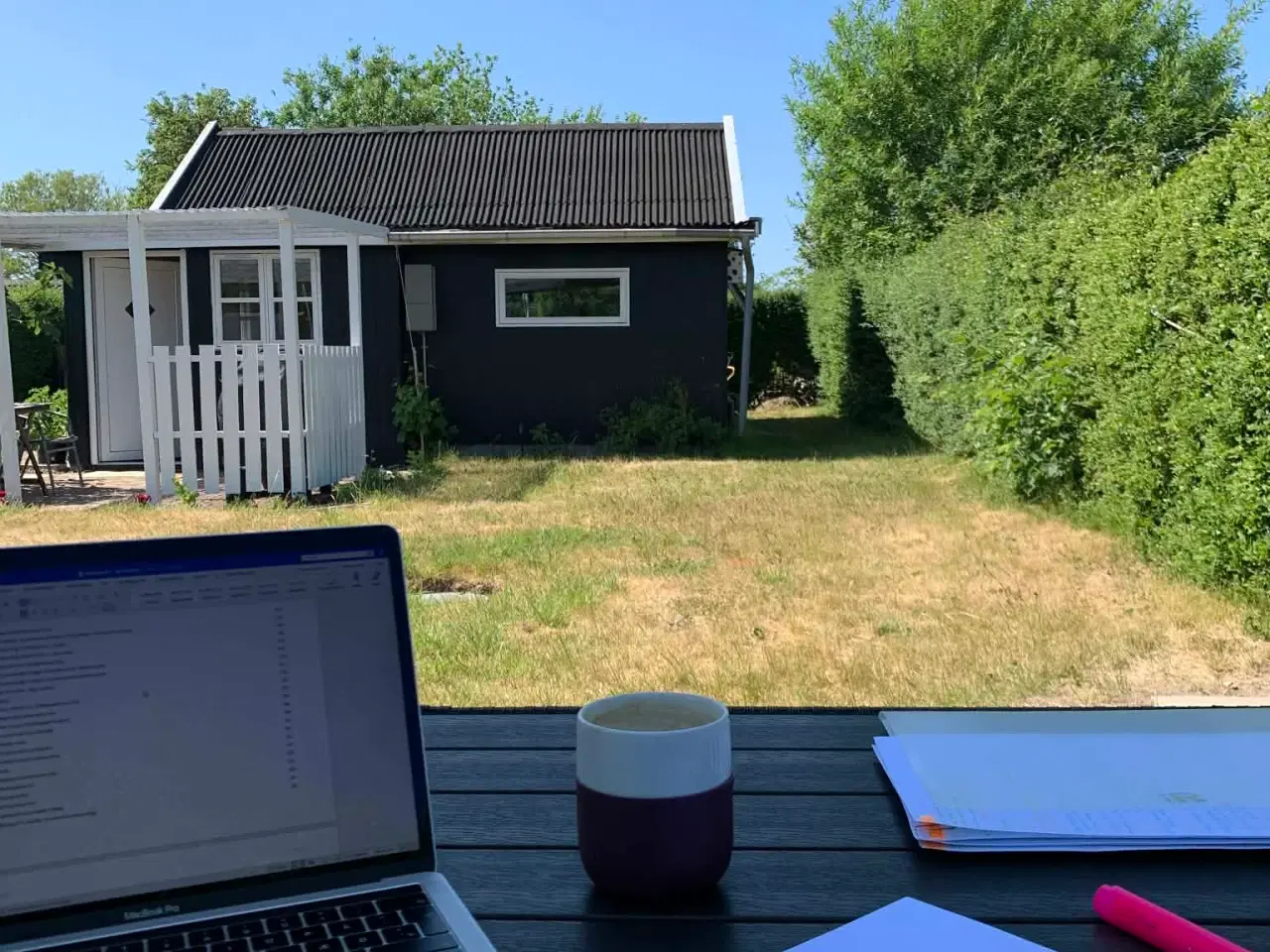 Billede 2 - Kolonihave i Odense C