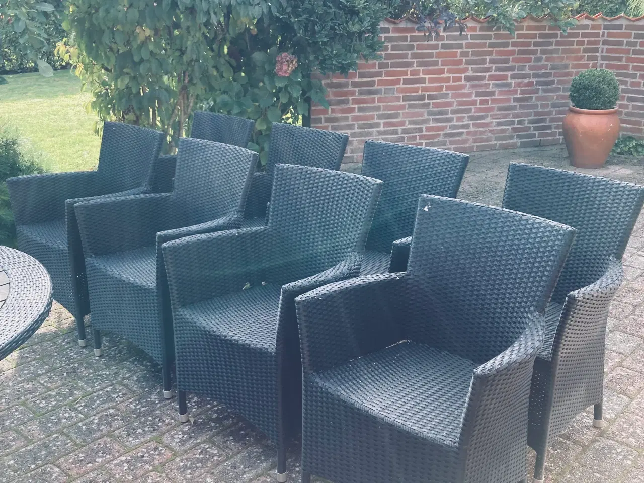 Billede 4 - 🟢Havemøbelsæt Rattan Rundt Bord med 8 Stole