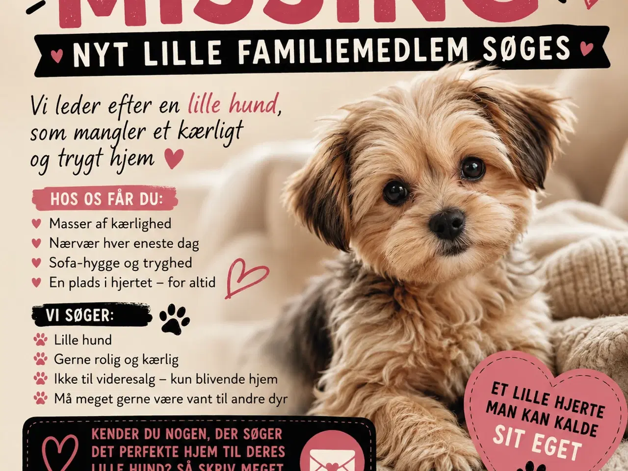 Billede 1 - BEDSTE VEN SØGES TIL BLIVENDE HJEM MED MASSER AF T