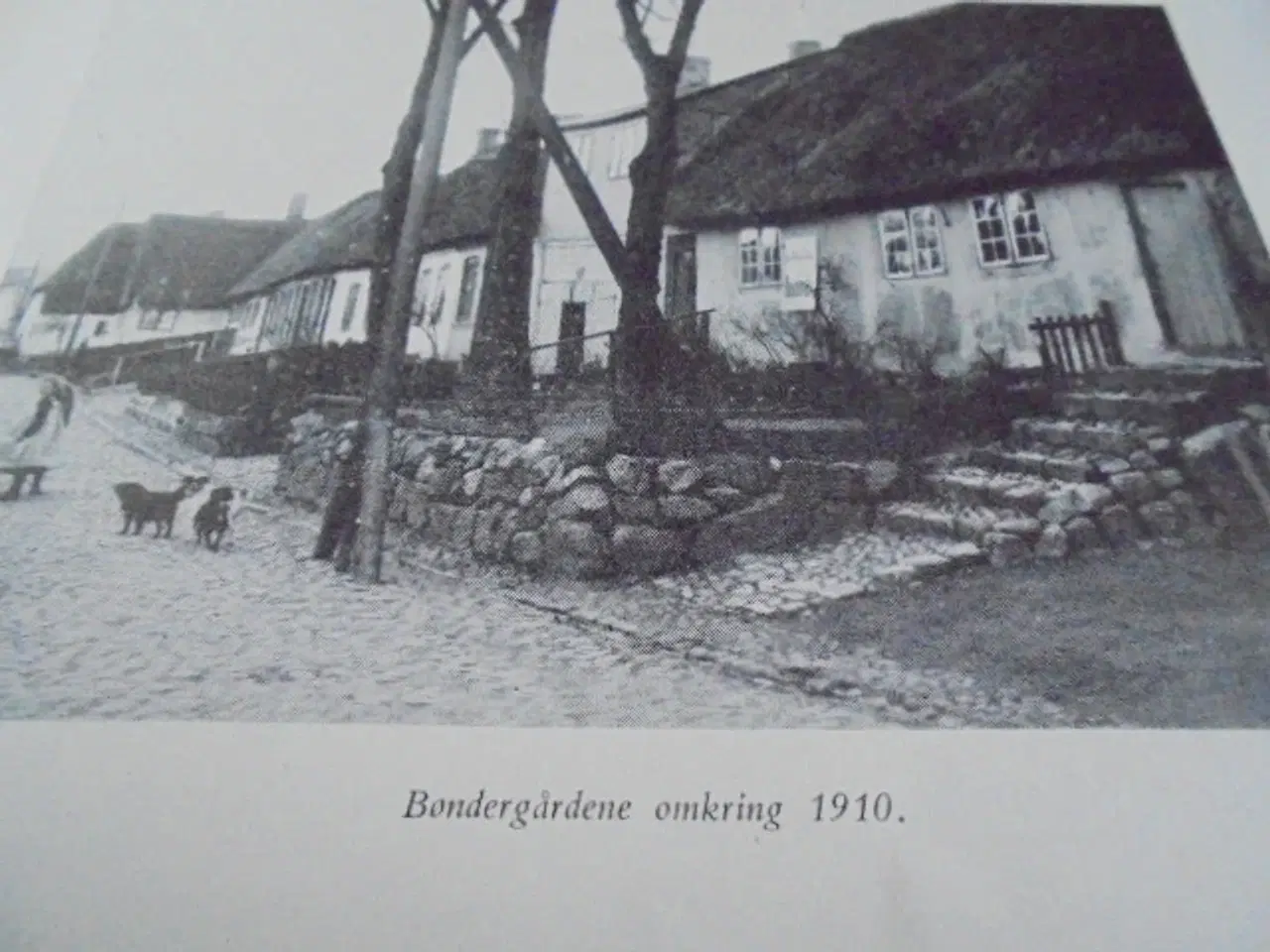 Billede 6 - Haderslev bys historie omkring århundredskiftet  