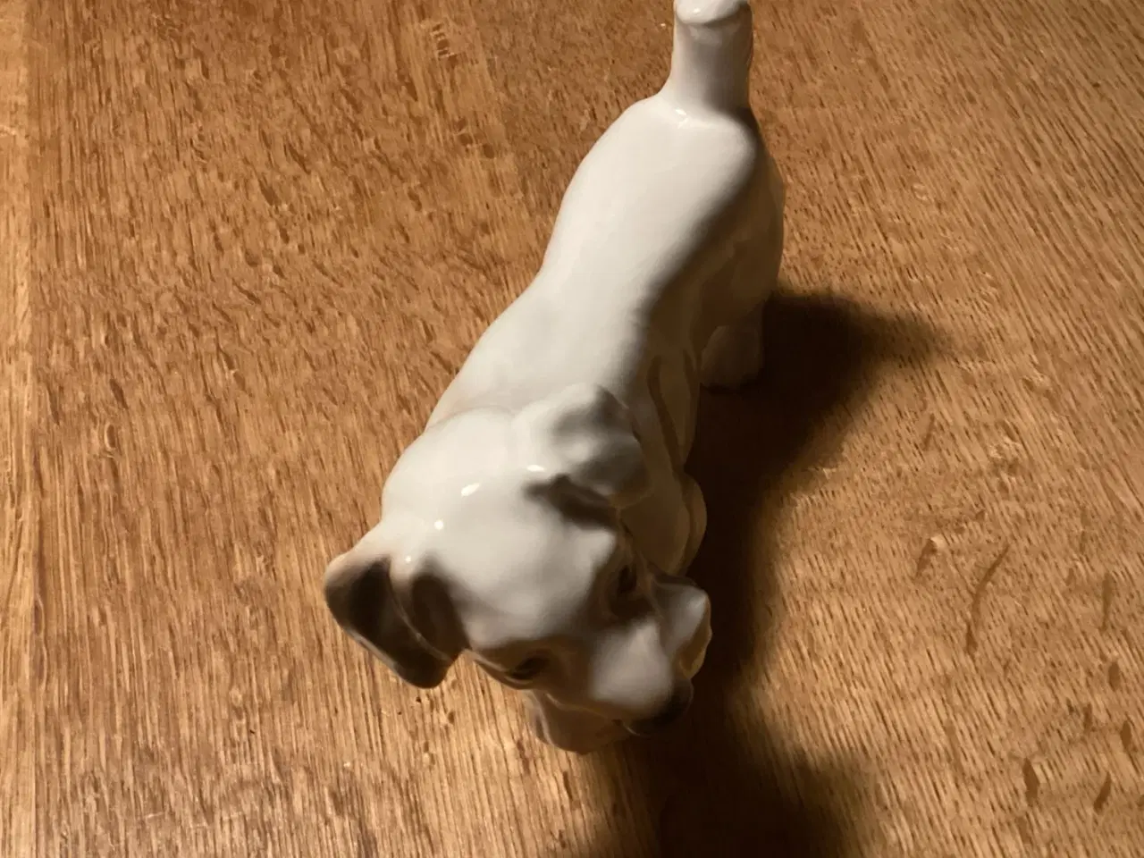 Billede 4 - Bg Skotsk Terrier Hund