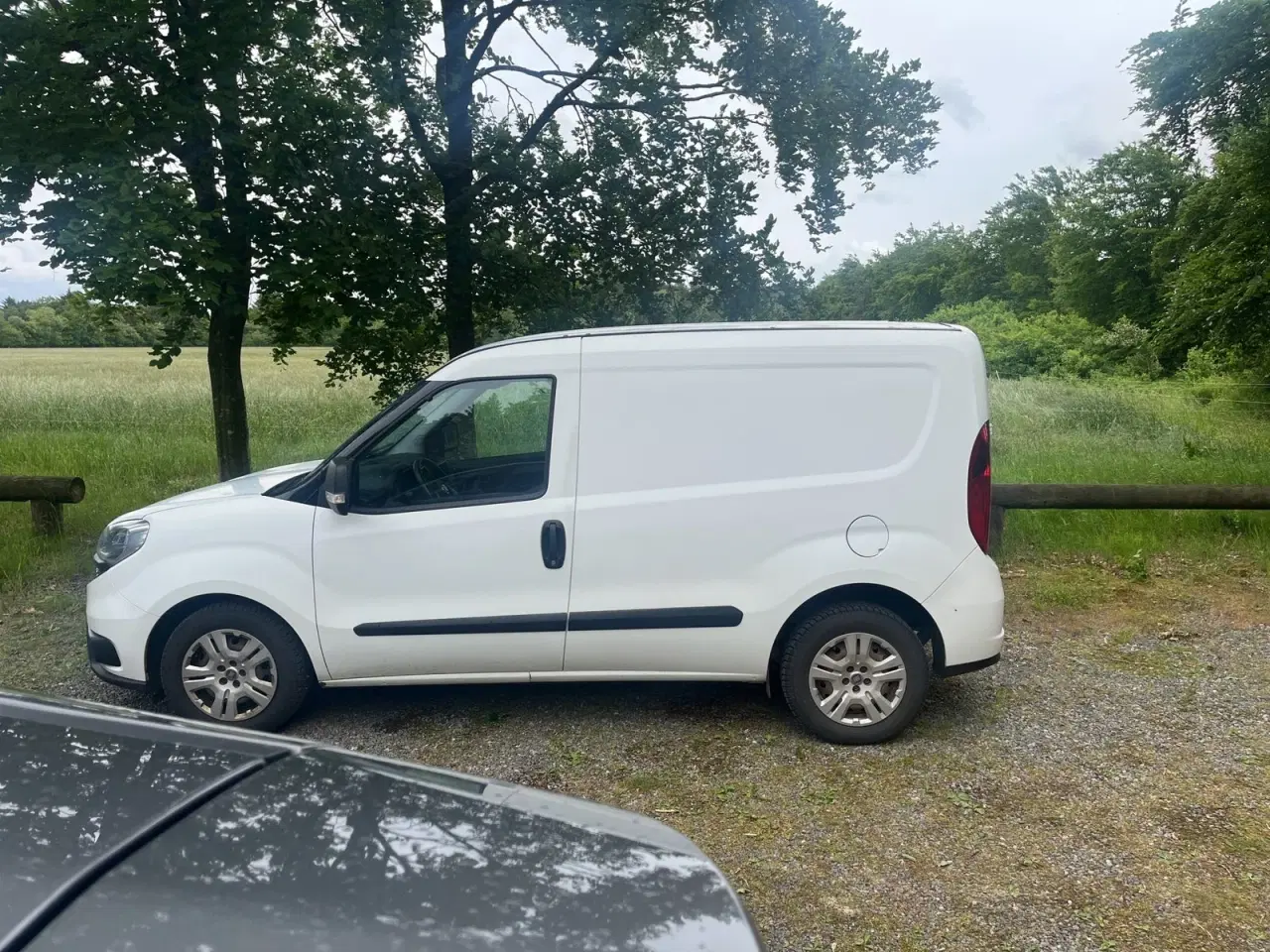 Billede 8 - Fiat Doblò Cargo 1,3 MJT 95 Professional L1